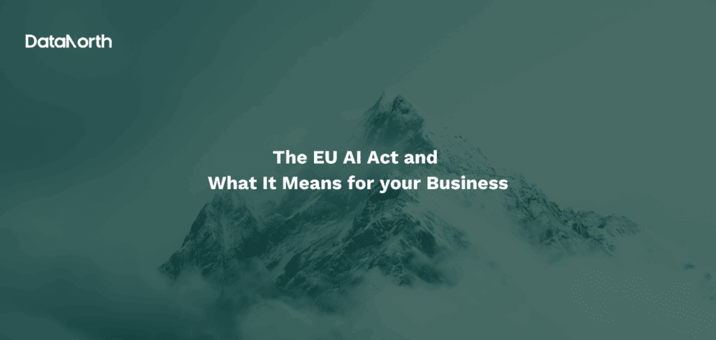 The EU AI Act and What It Means for your Business - DataNorth AI
