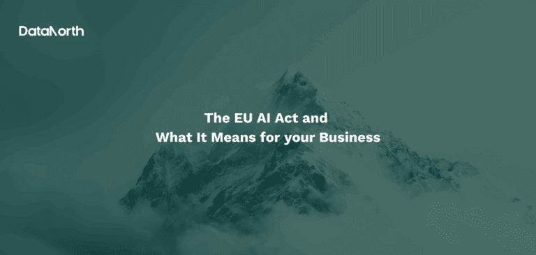 The EU AI Act and What It Means for your Business - DataNorth AI