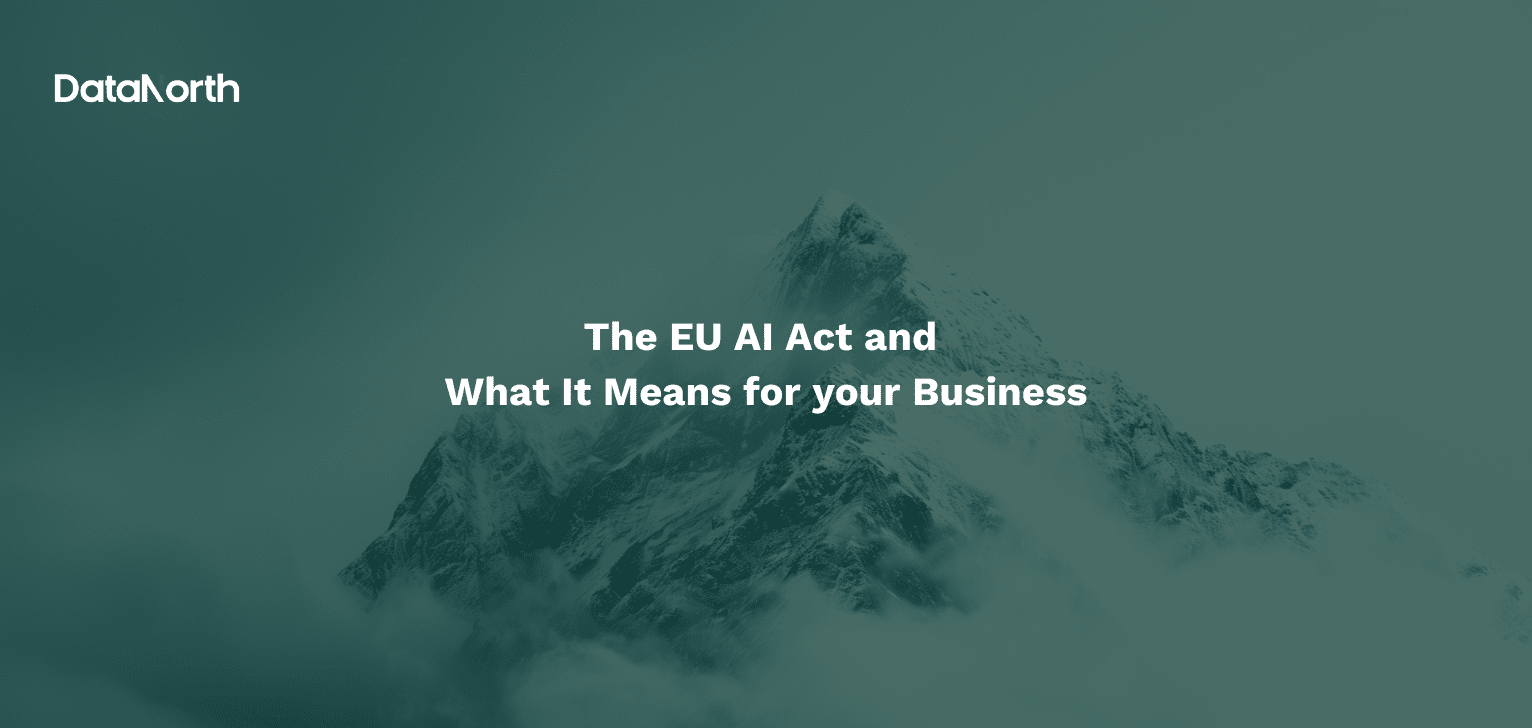 The EU AI Act and What It Means for your Business