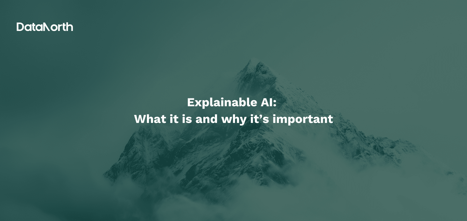 Explainable AI: What it is and why it’s important