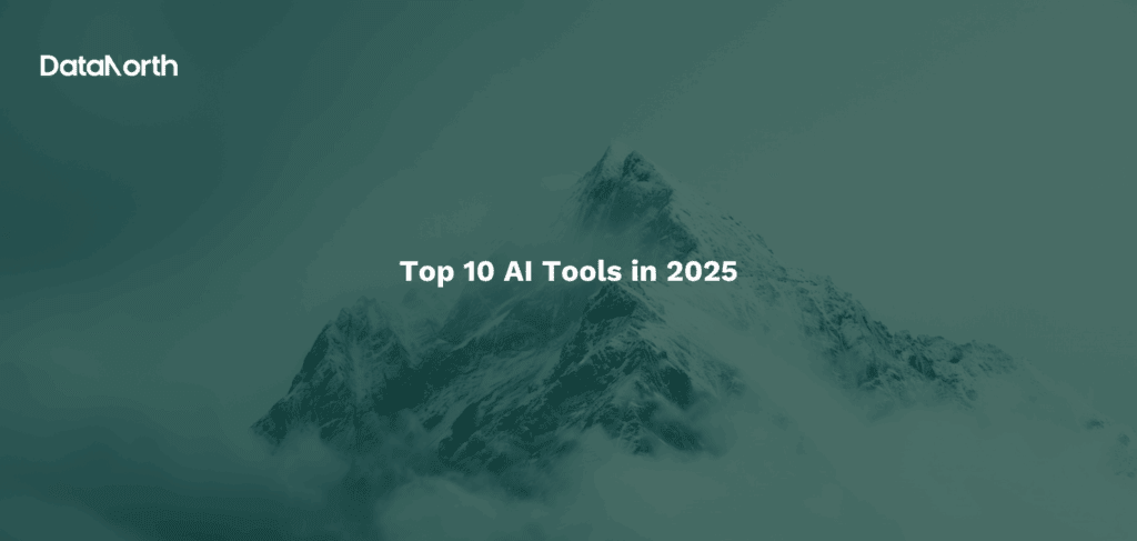 Top 10 AI Tools in 2025 - DataNorth AI