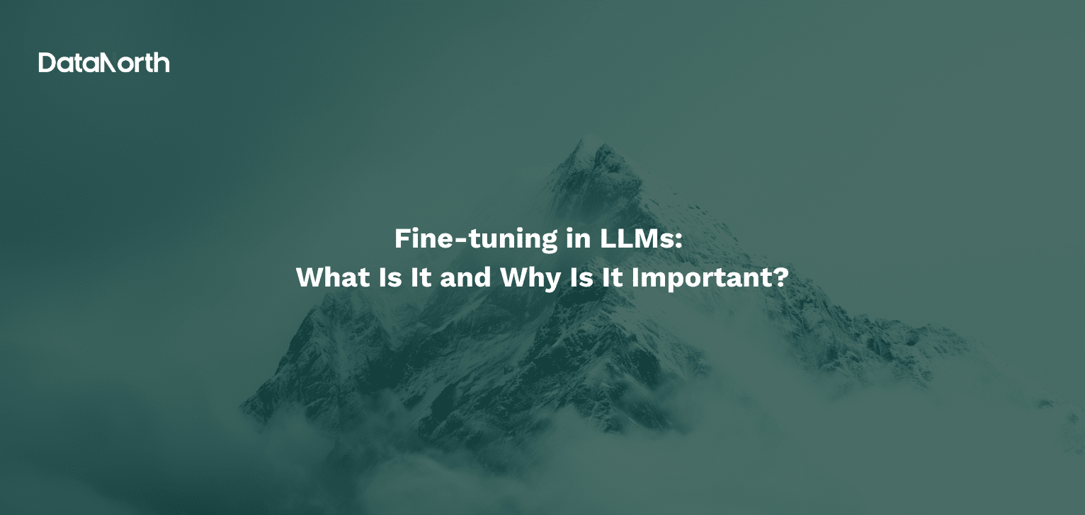Fine-tuning in LLMs: What Is It and Why Is It Important?