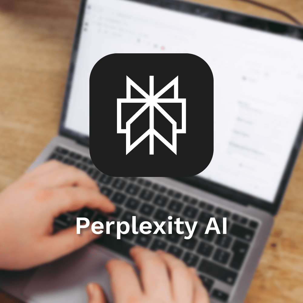 perplexity AI consultancy