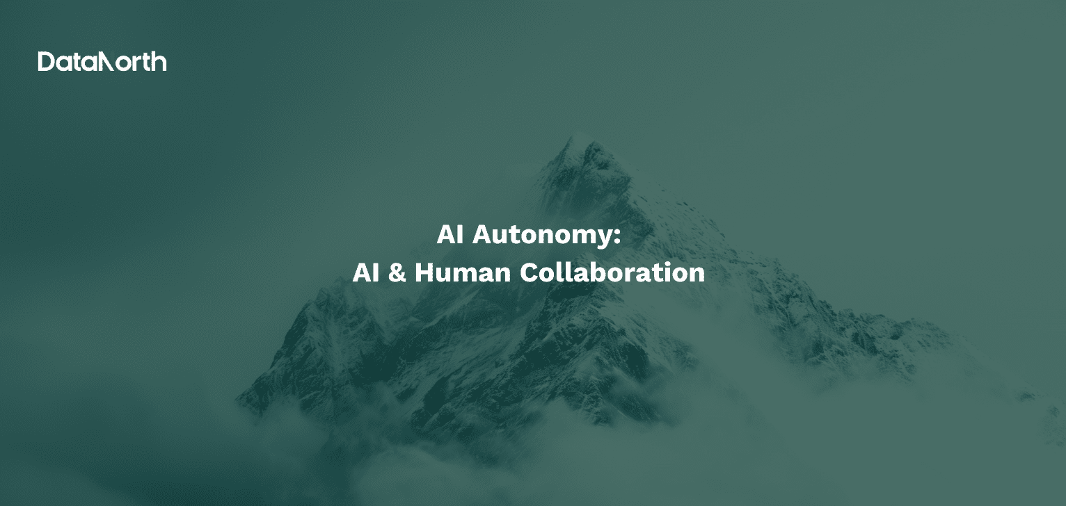 AI Autonomy: AI & Human Collaboration