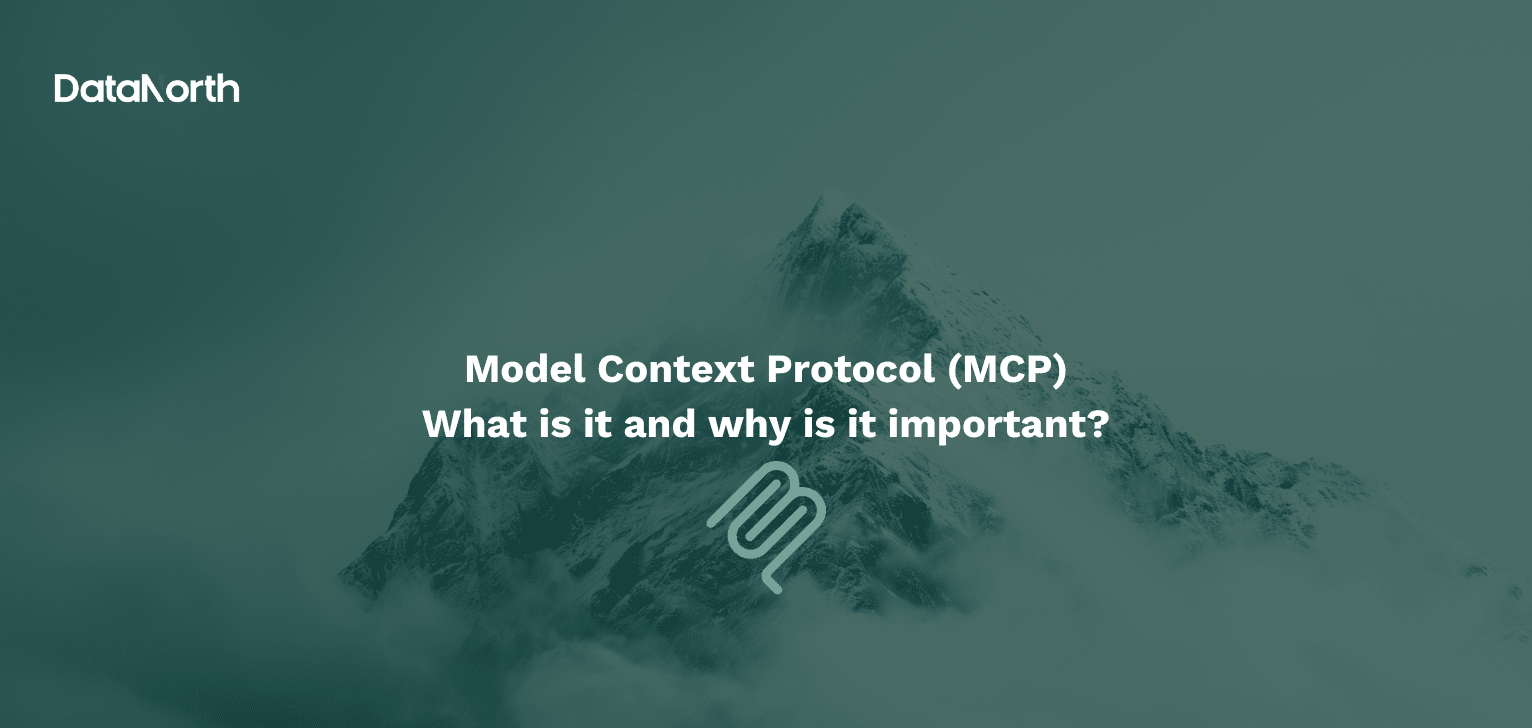 model context protocol (mcp)