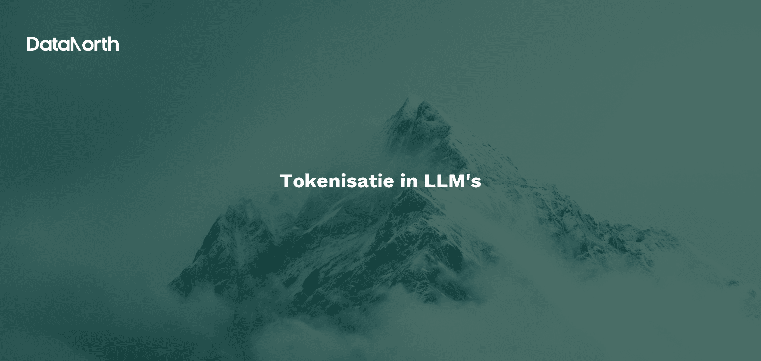 tokenisatie in llms