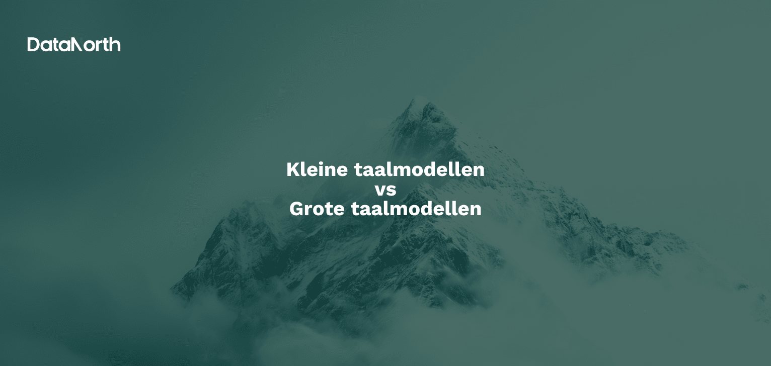 kleine taalmodellen vs grote taalmodellen