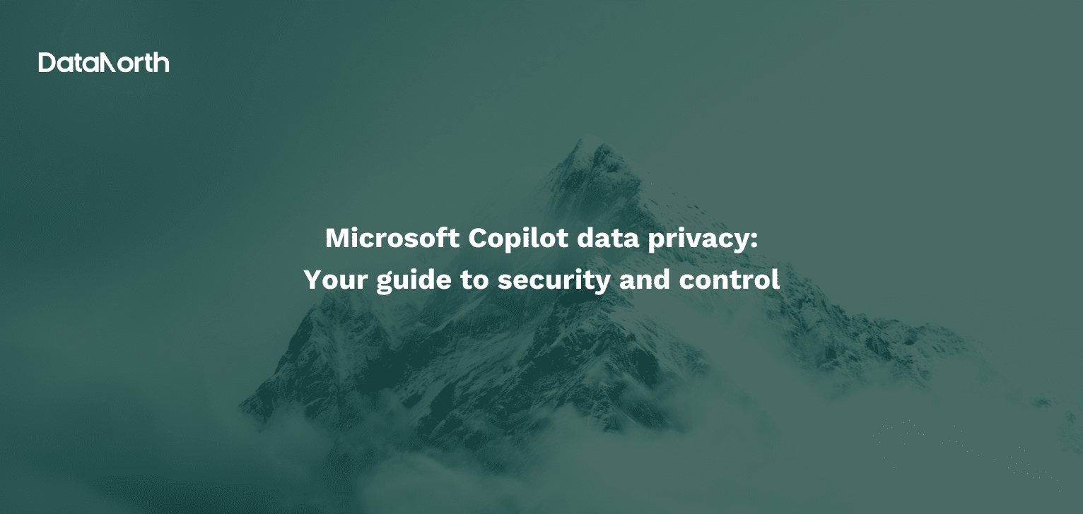 microsoft copilot data privacy your guide to security and control