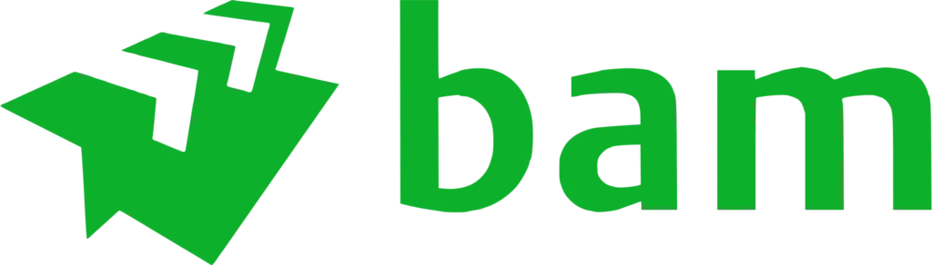 logo bam