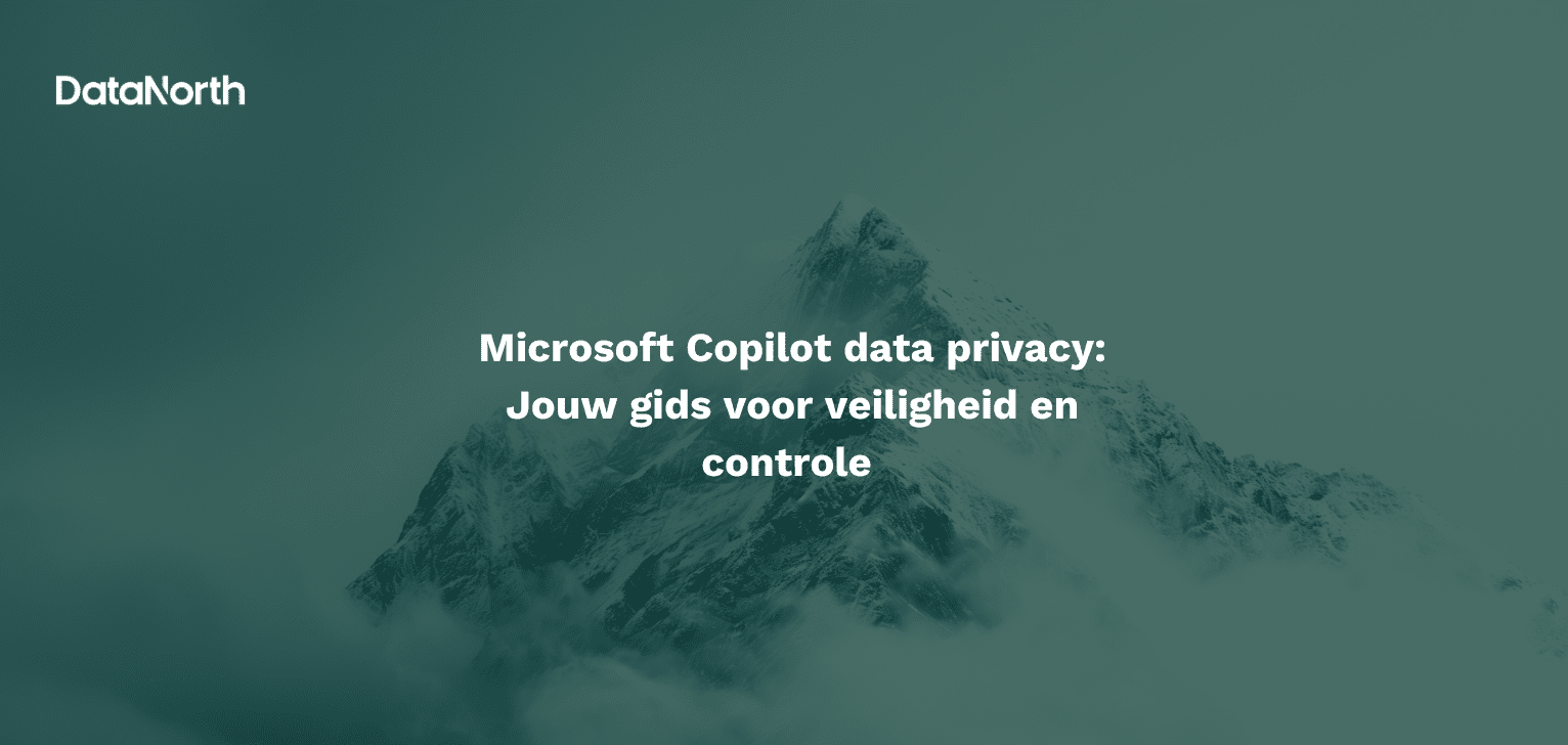 microsoft copilot data privacy