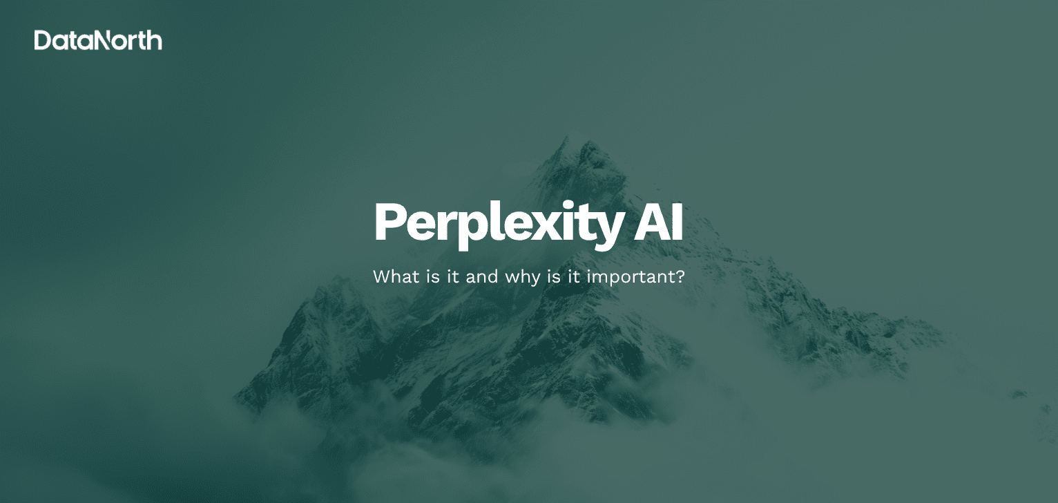 perplexity ai what is it and why is it important