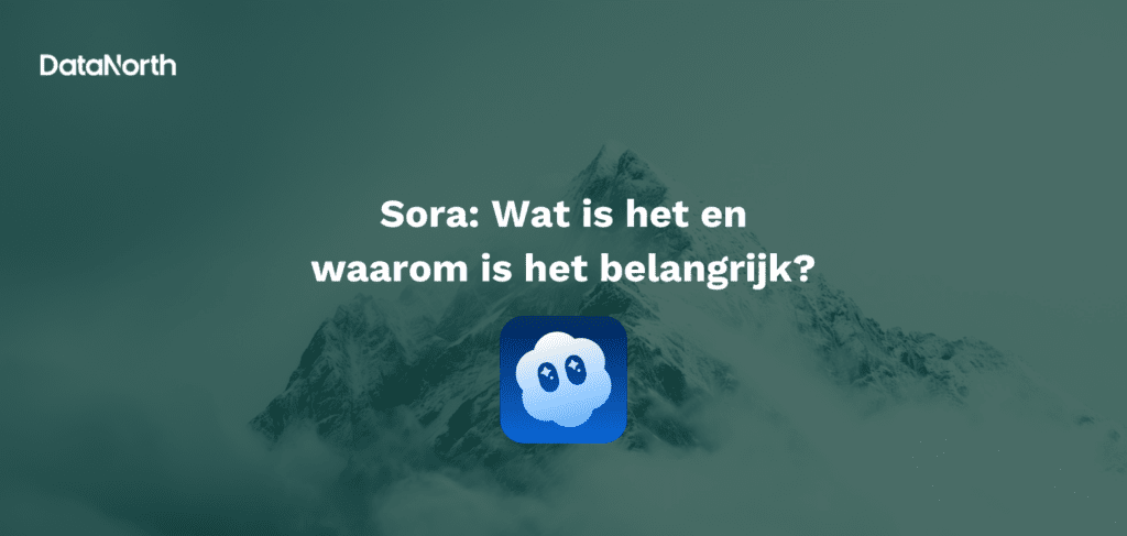 sora: wat is het en waarom is het belangrijk?
