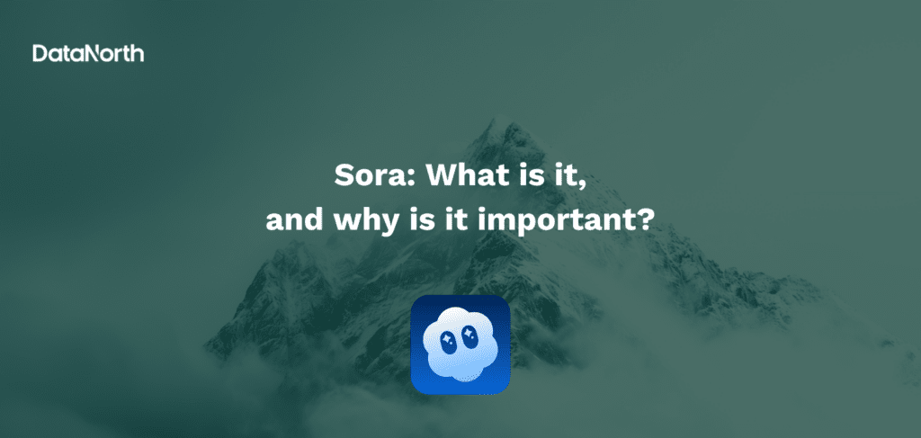 sora what is it and why is it important?