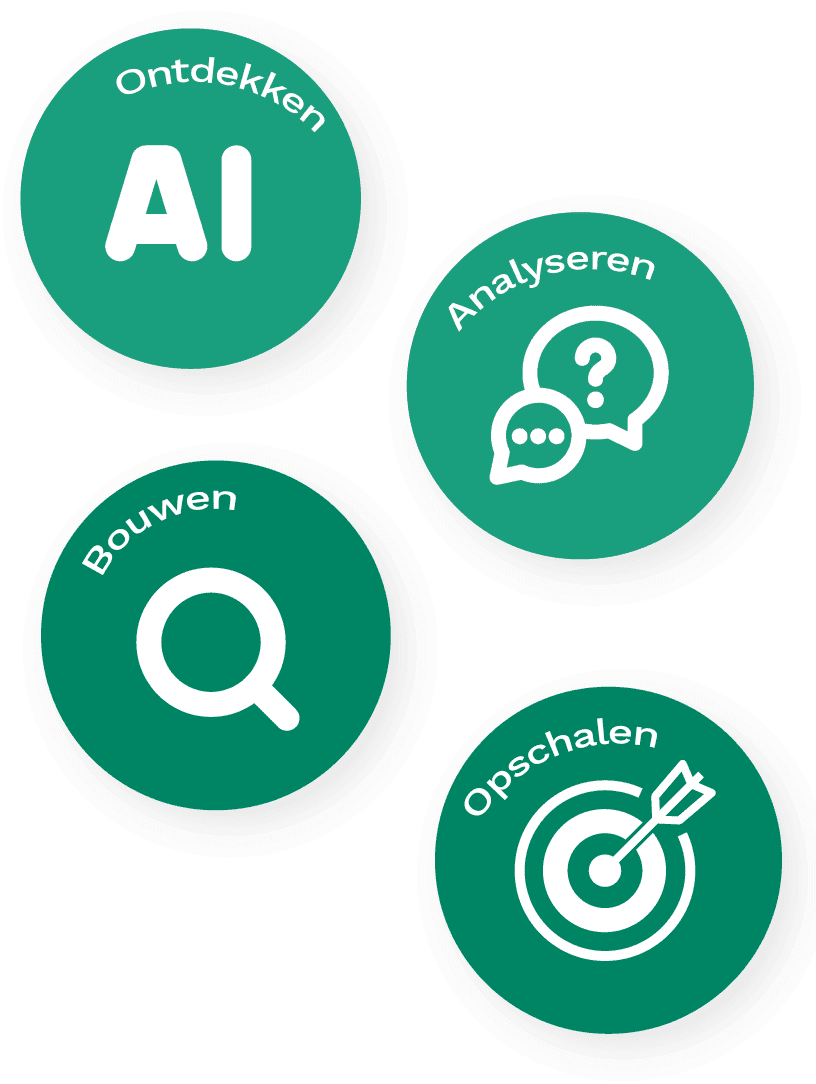 ontdekken analyseren bouwen opschalen
