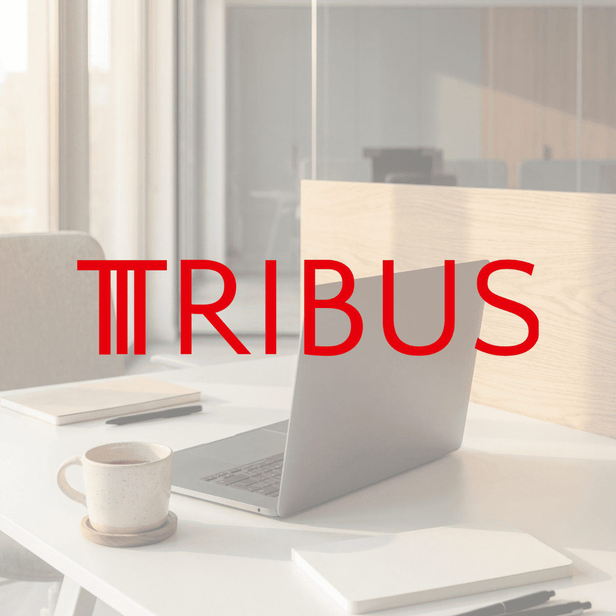 cas study tribus uitgelichte afbeelding