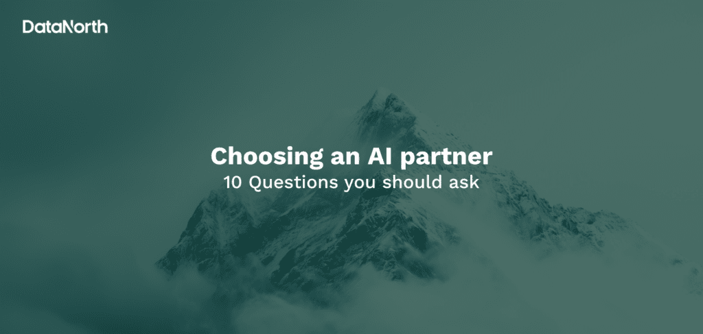 choosing an ai partner, 10 questions you should ask