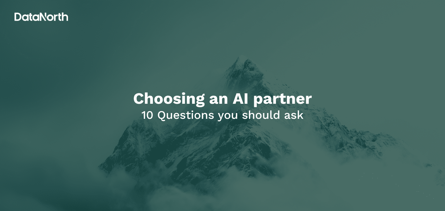 choosing an ai partner, 10 questions you should ask