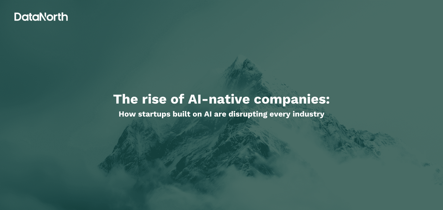 the rise of ai native companies how startups built on ai are disrupting every industry