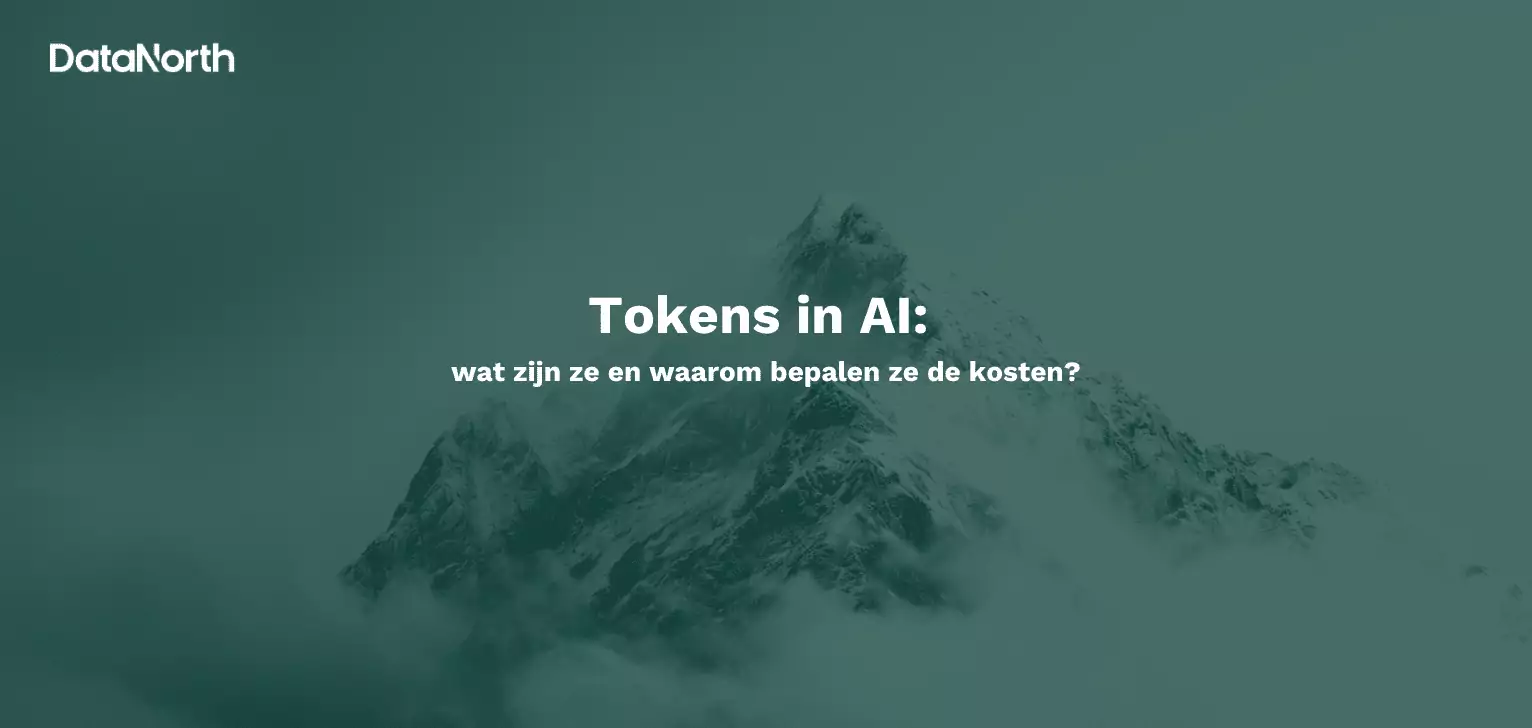 tokens in ai wat zijn ze en waarom bepalen ze de kosten