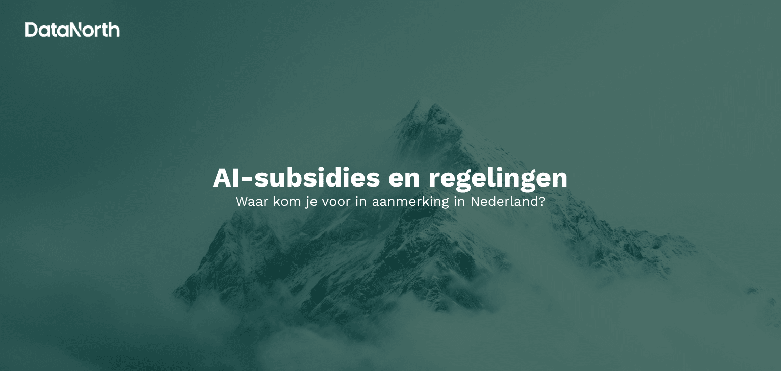 ai subsidies en regelingen in nederland waar kom je voor in aanmerking