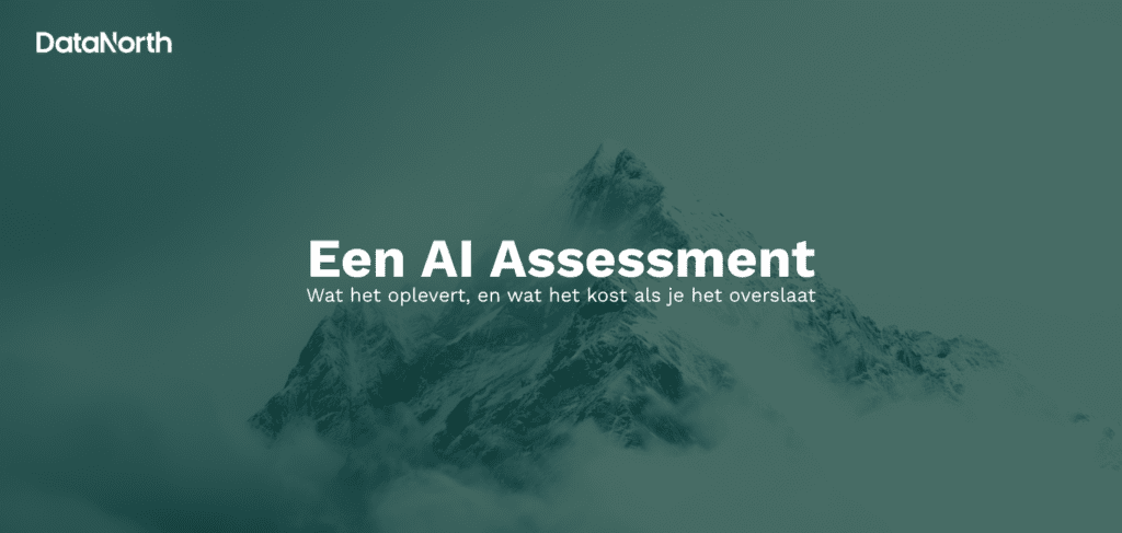een ai assessment wat het oplevert, en wat het kost als je het overslaat