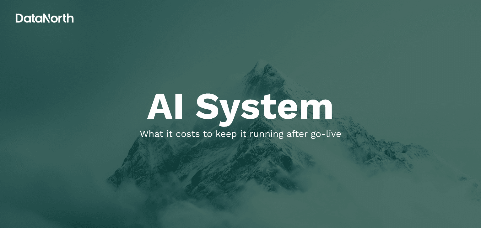 what it costs to keep an ai system running after go live