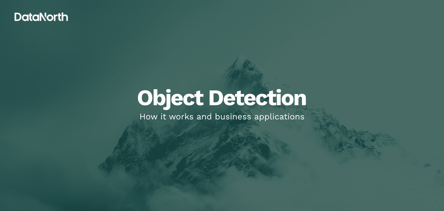 object detection how it works and business applications