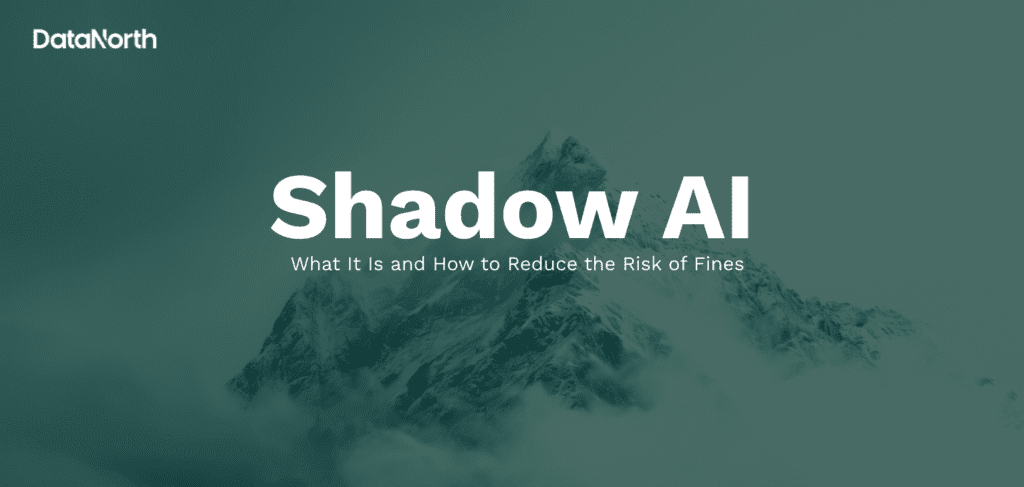 shadow ai what it is and how to reduce the risk of fines