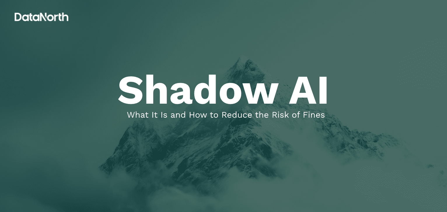 shadow ai what it is and how to reduce the risk of fines
