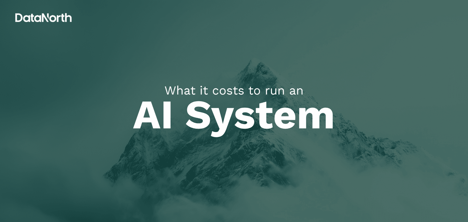 what it costs to keep an ai system running after go live (2)